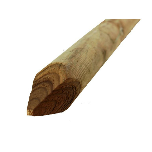 Palo con punta in pino impregnato dim. 5 x100 cm 
